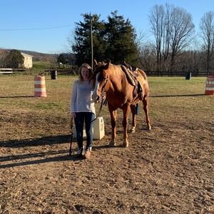 Meet your Posher, Cassie